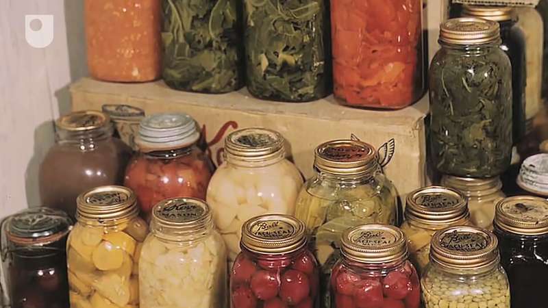 How to preserving food by processing
